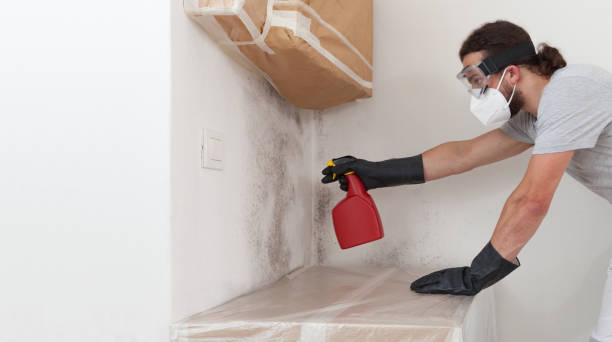 Professional Crawl Space Mold Remediation technician working in Rock Hall, MD